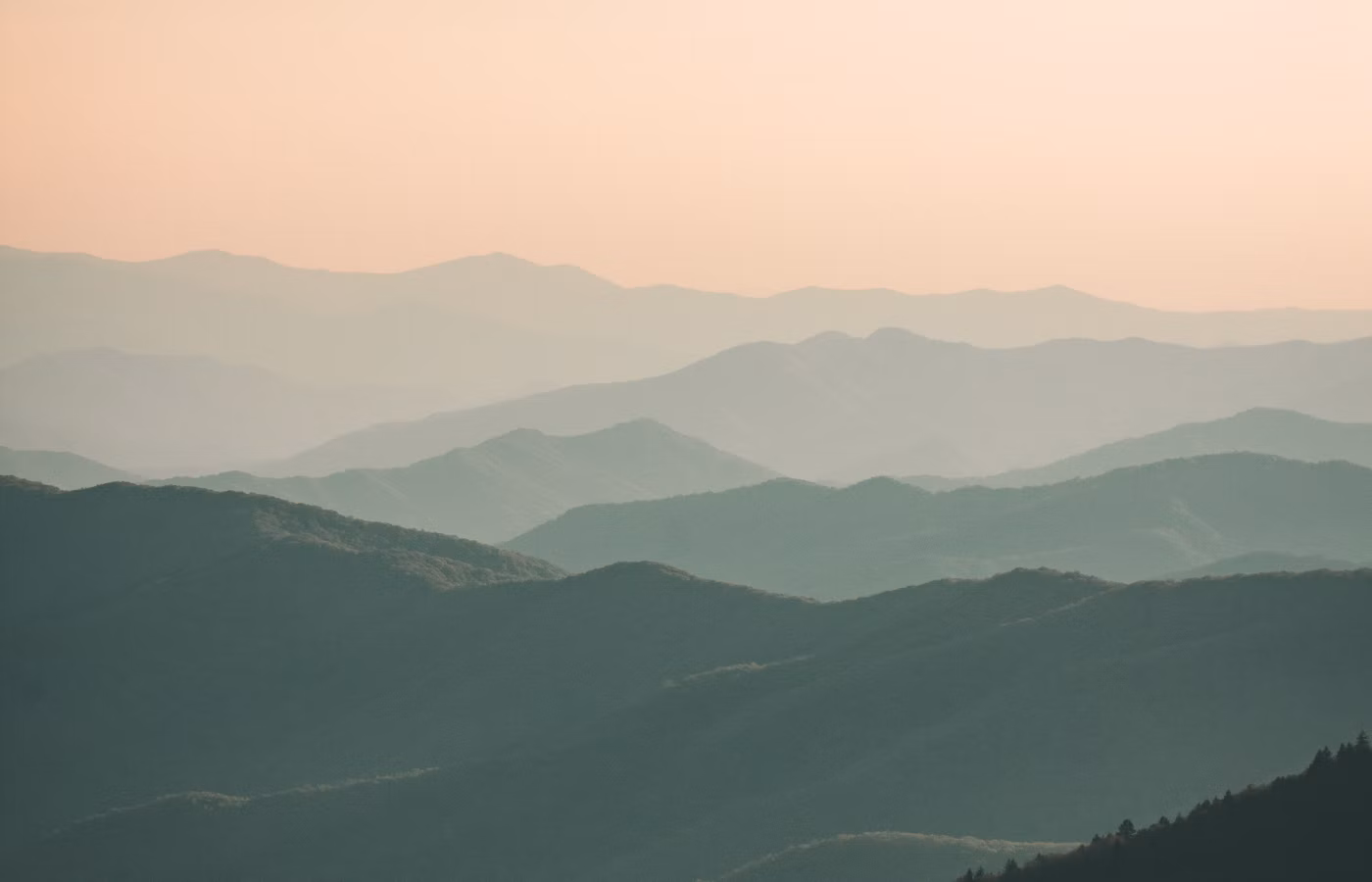 Психологическая устойчивость онлайн в Москва